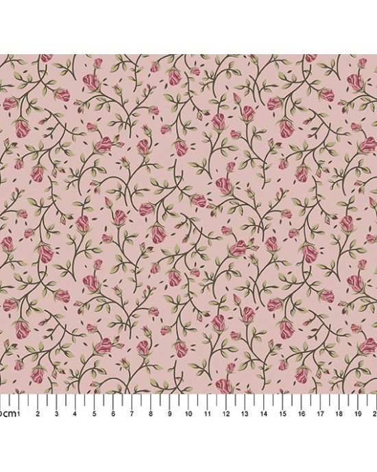 Grace cor 04 (Rosa) Grace cor 04 (Rosa)